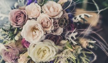 cremation services in Windsor, CA