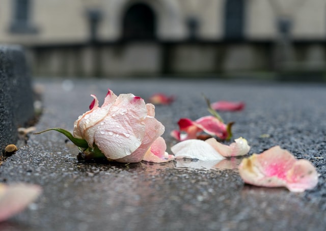 funeral homes in Windsor, CA