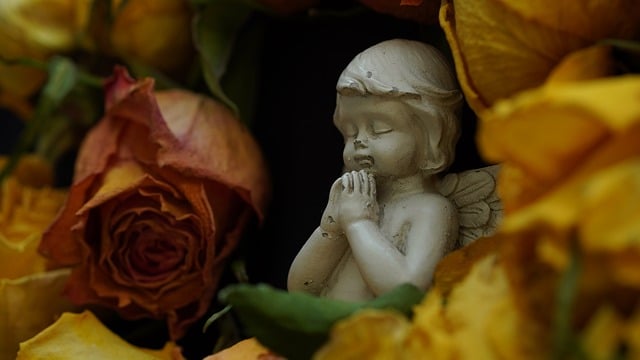 funeral homes Rohnert Park, CA