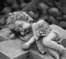funeral homes Sebastopol, CA