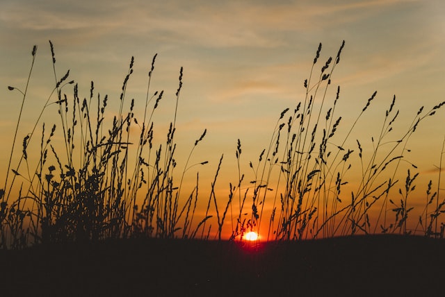 cremation services Rohnert Park, CA