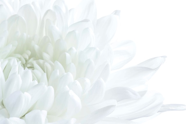 funeral homes Rohnert Park, CA